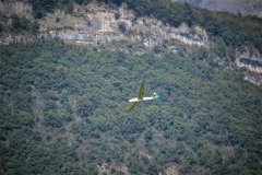 photo_112