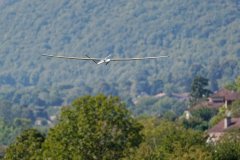 photo_135