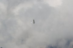photo_142