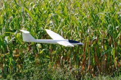 photo_155