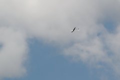 photo_164