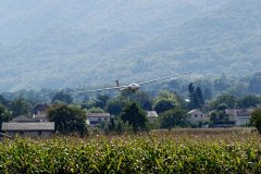 photo_181