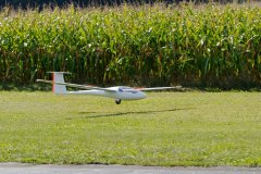 photo_184