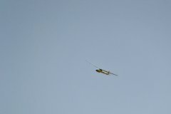 photo_039