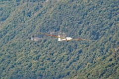 photo_044