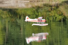 photo_019