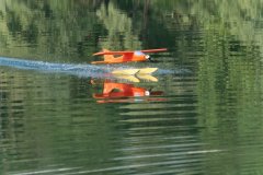 photo_034