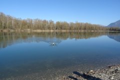 photo_045