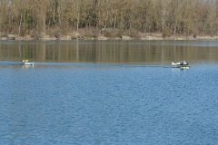 photo_053