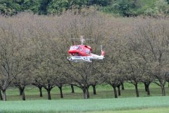 photo_008