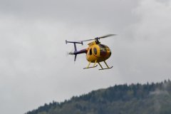 photo_041