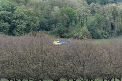 photo_141