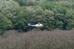 photo_154