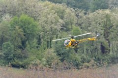 photo_165