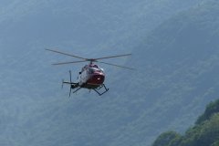 photo_061