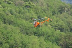 photo_049