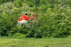 photo_073