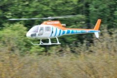 photo_116
