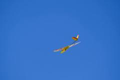 AlpesDhuez_29