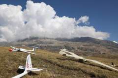 FB_IMG_1661778141562